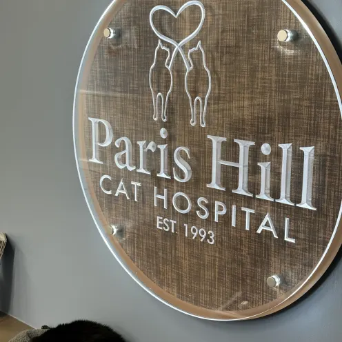 Paris Hill Cat Hospital sign hanging on wall with a black and white cat sleeping under it